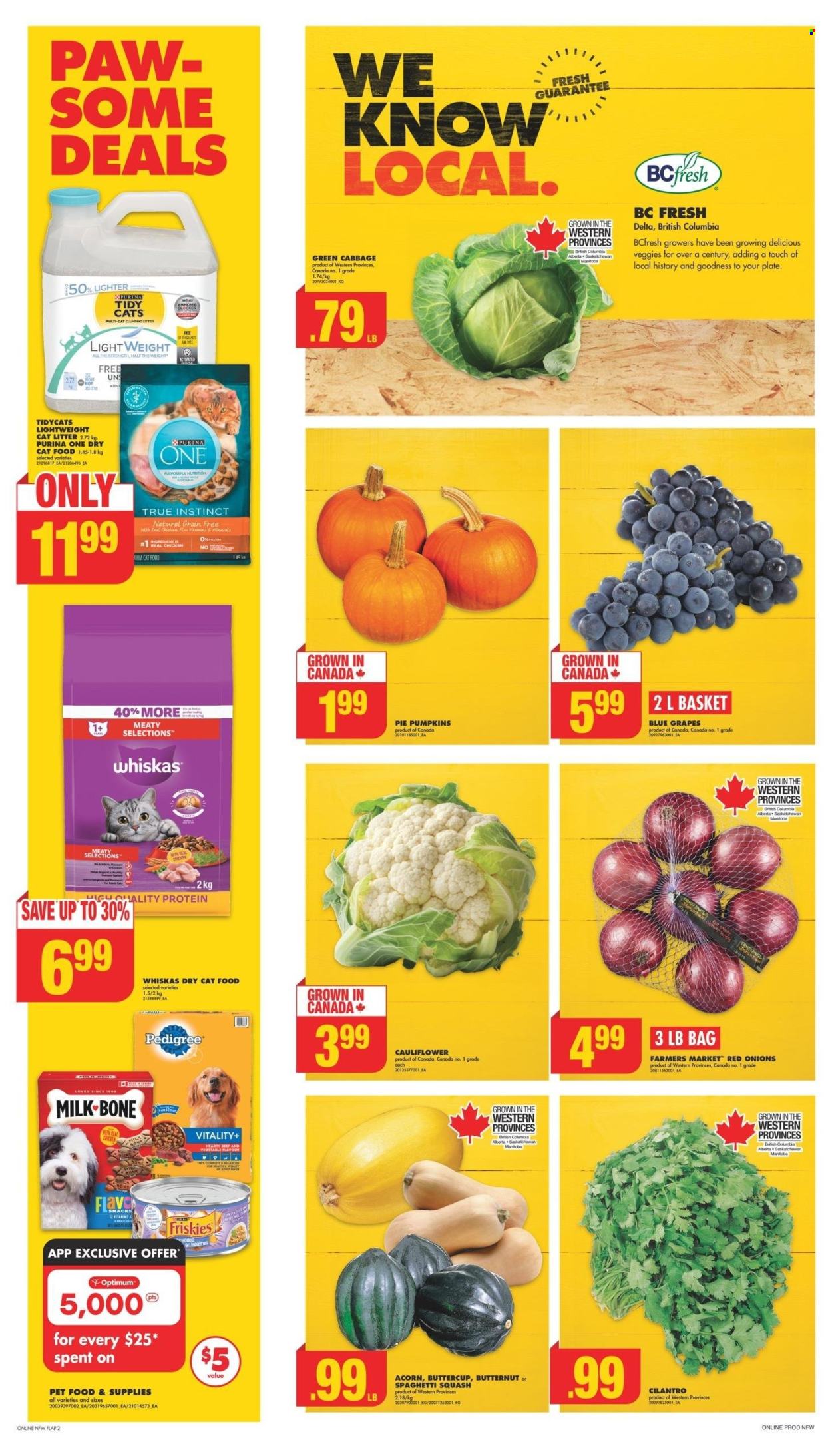 No Frills flyer - September 19, 2024 - September 25, 2024. Page 2