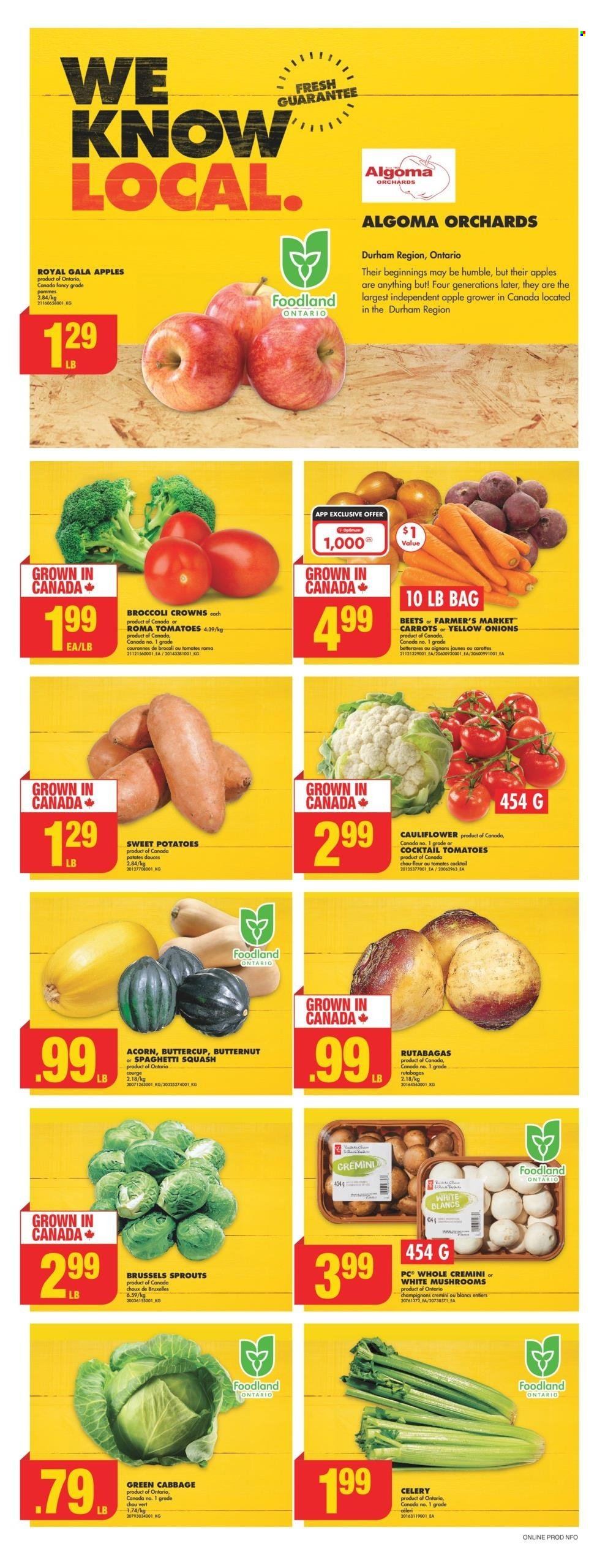 No Frills flyer - September 26, 2024 - October 02, 2024. Page 4