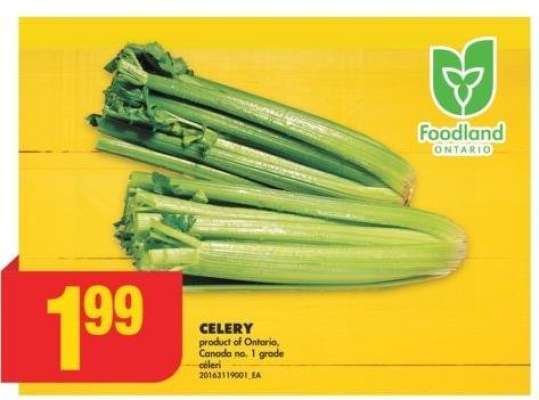 CELERY - Product of Ontario, Canada no. 1 grade

céleri