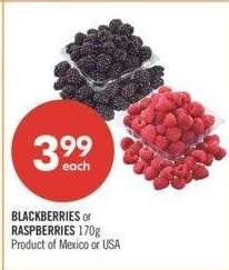 Blackberries or Raspberries - 170g
Product of Mexico or USA