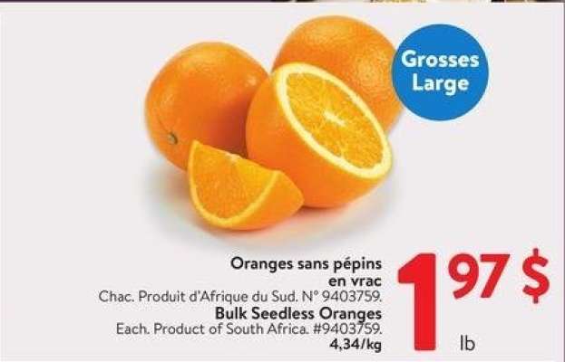 Bulk Seedless Oranges - Each. Product of South Africa
9403759