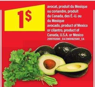 AVOCAT OU CORIANDRE | avocado or cilantro - produit du Mexique ou produit du Canada, des É.-U. ou du Mexique

product of Mexico or cilantro, product of Canada, U.S.A. or Mexico