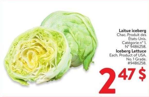 Iceberg Lettuce - Each. Product of USA.
No. 1 Grade.
#9486258