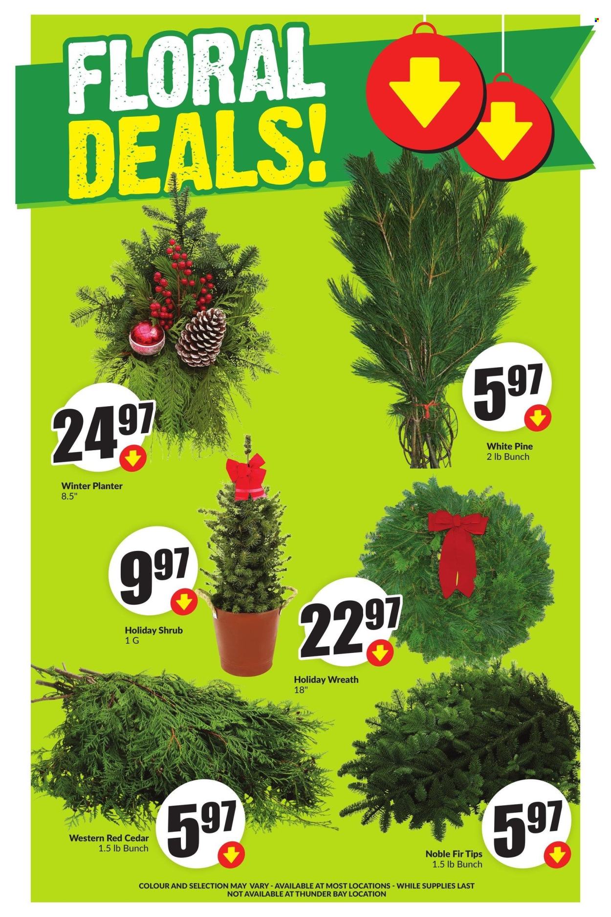 FreshCo. flyer - November 14, 2024 - November 20, 2024. Page 1