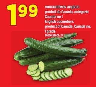 concombres anglais | English cucumbers - Produit du canada, categorie