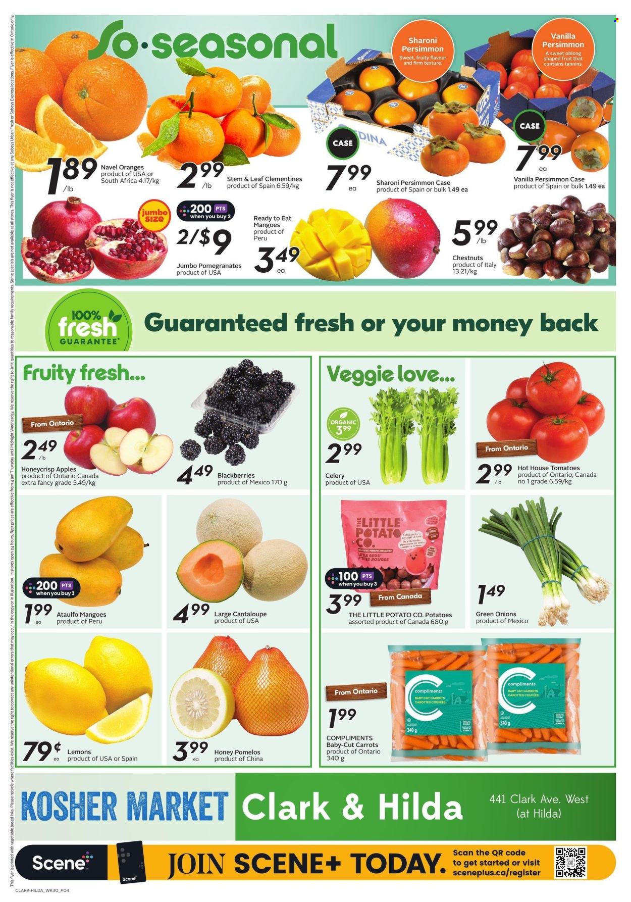 Sobeys flyer - November 21, 2024 - November 27, 2024. Page 1