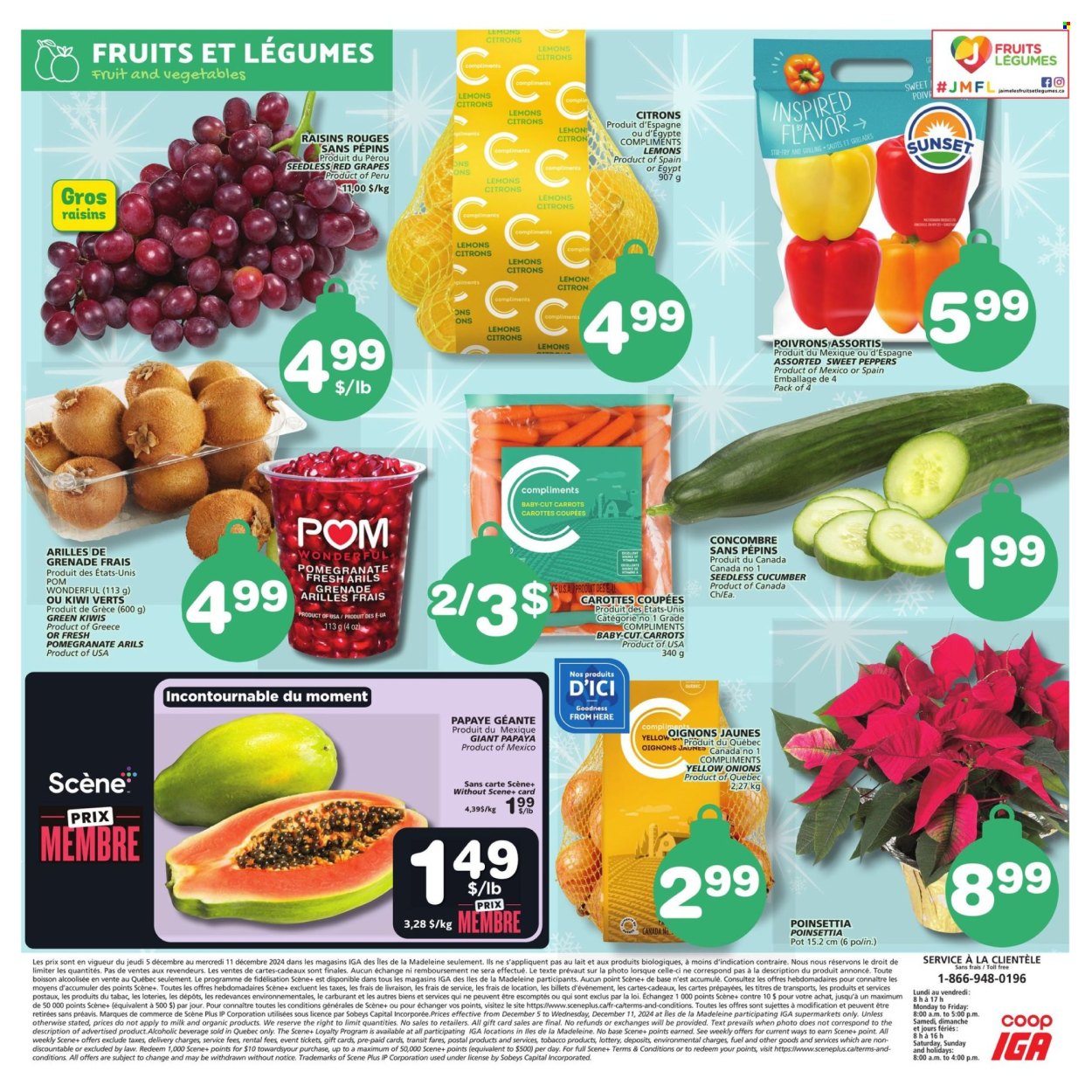 IGA flyer - December 05, 2024 - December 11, 2024. Page 1