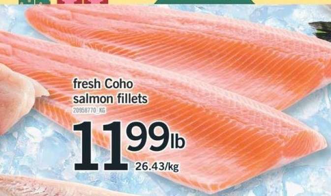 fresh Coho salmon fillets