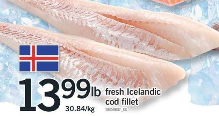 fresh Icelandic cod fillet