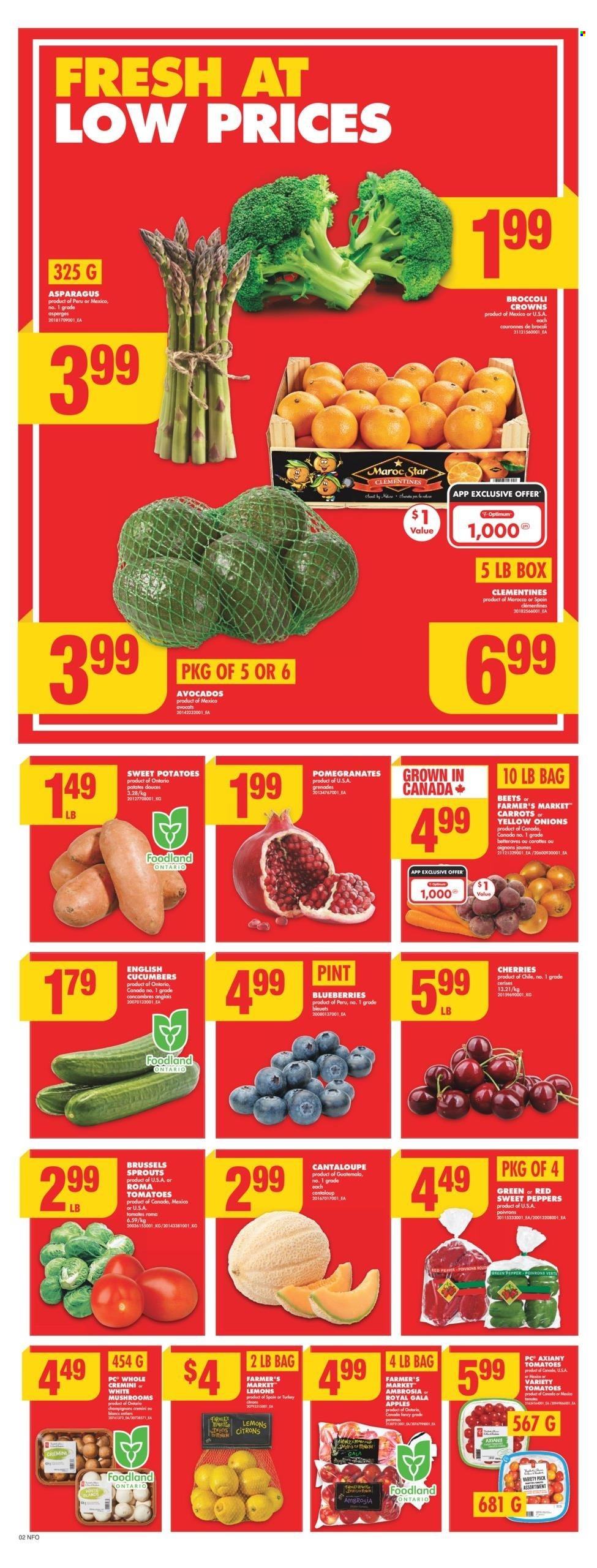 No Frills flyer - December 19, 2024 - December 25, 2024. Page 1