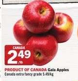 Gala Apples