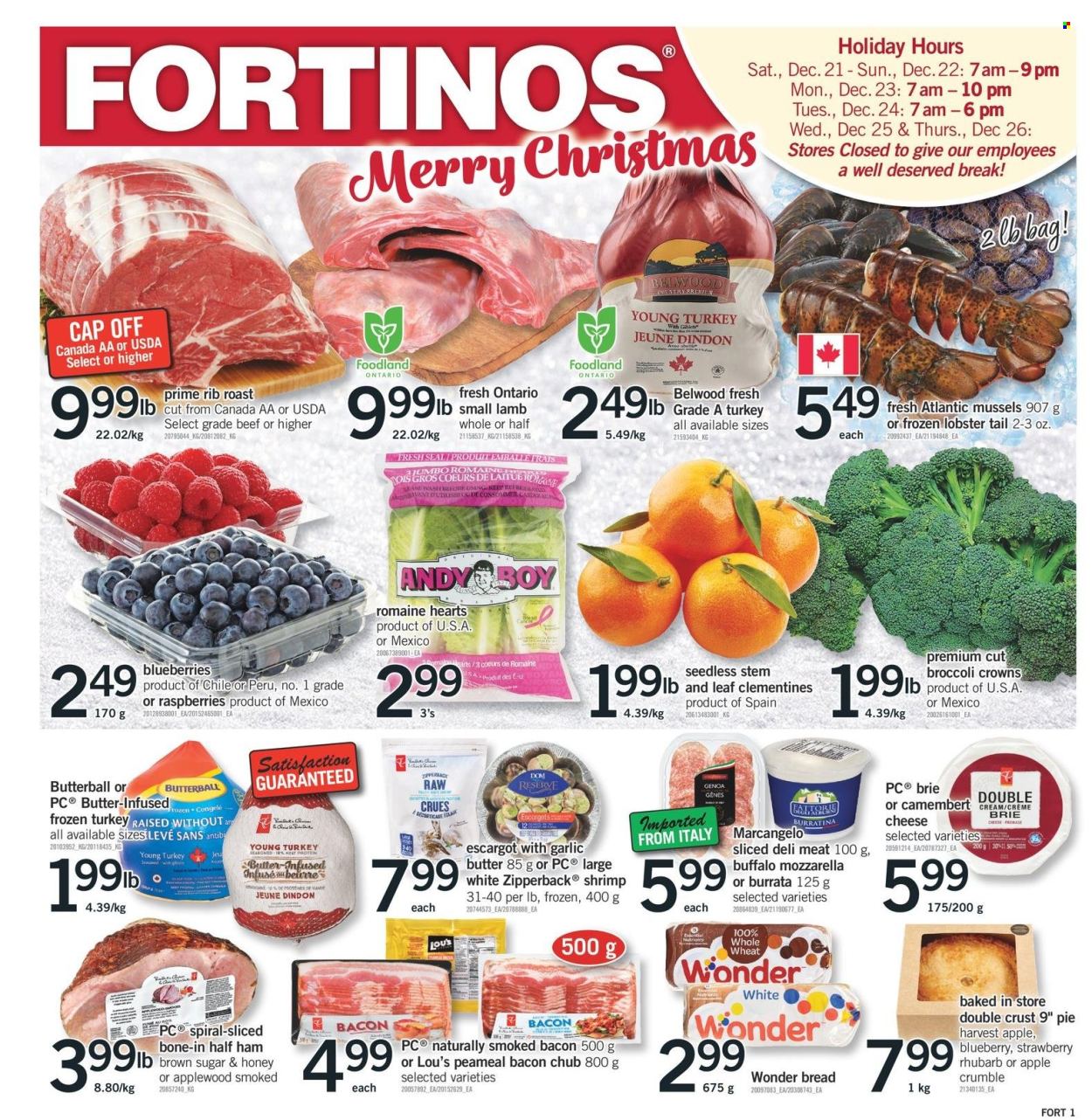 Fortinos flyer - December 19, 2024 - December 24, 2024. Page 1