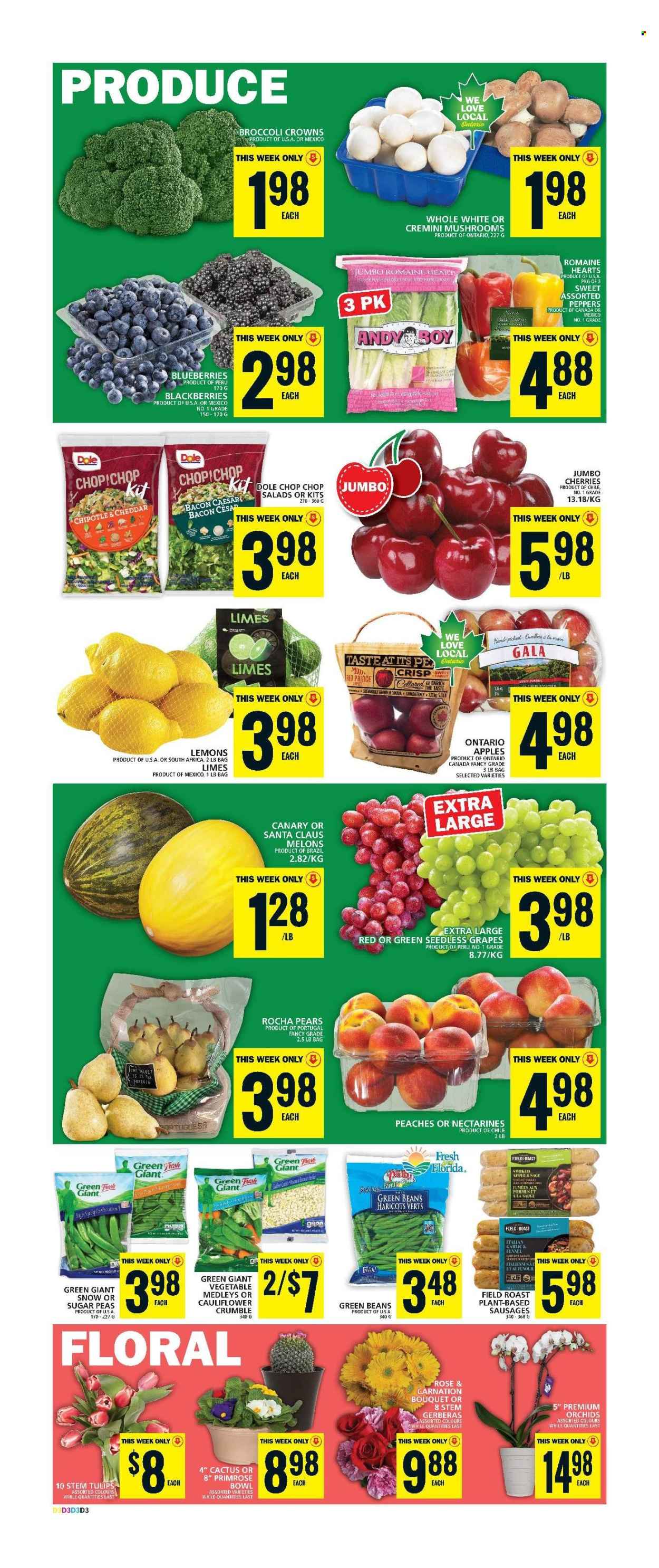 Food Basics flyer - January 09, 2025 - January 15, 2025. Page 1