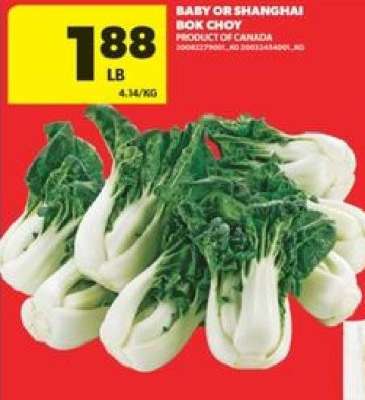 BABY OR SHANGHAI BOK CHOY