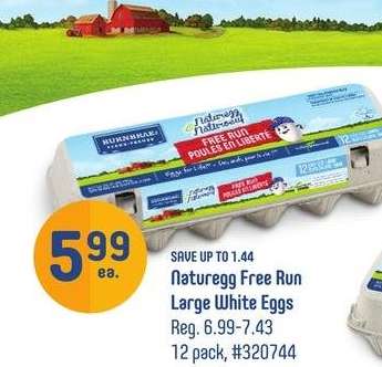 Naturegg Free Run Large White Eggs