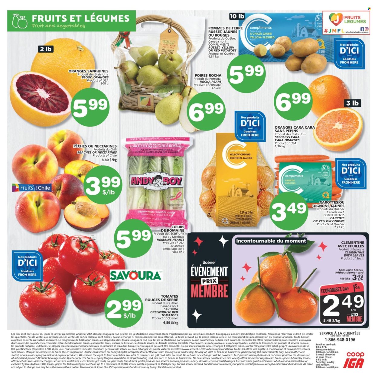 IGA flyer - January 16, 2025 - January 22, 2025. Page 1