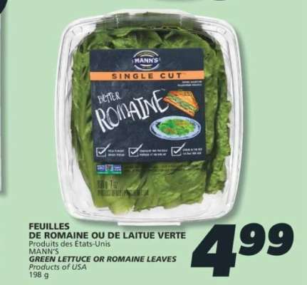 FEUILLES DE ROMAINE OU DE LAITUE VERTE