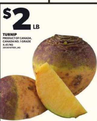 TURNIP