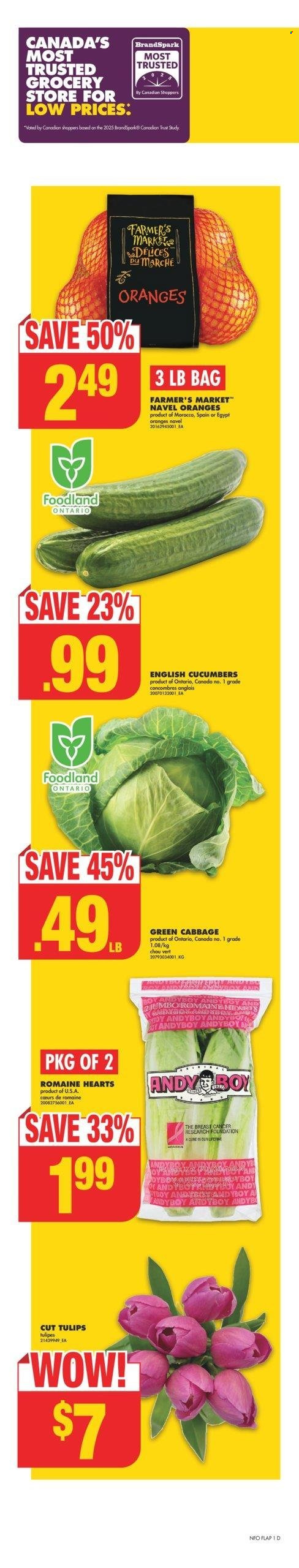 No Frills flyer - January 23, 2025 - January 29, 2025. Page 1