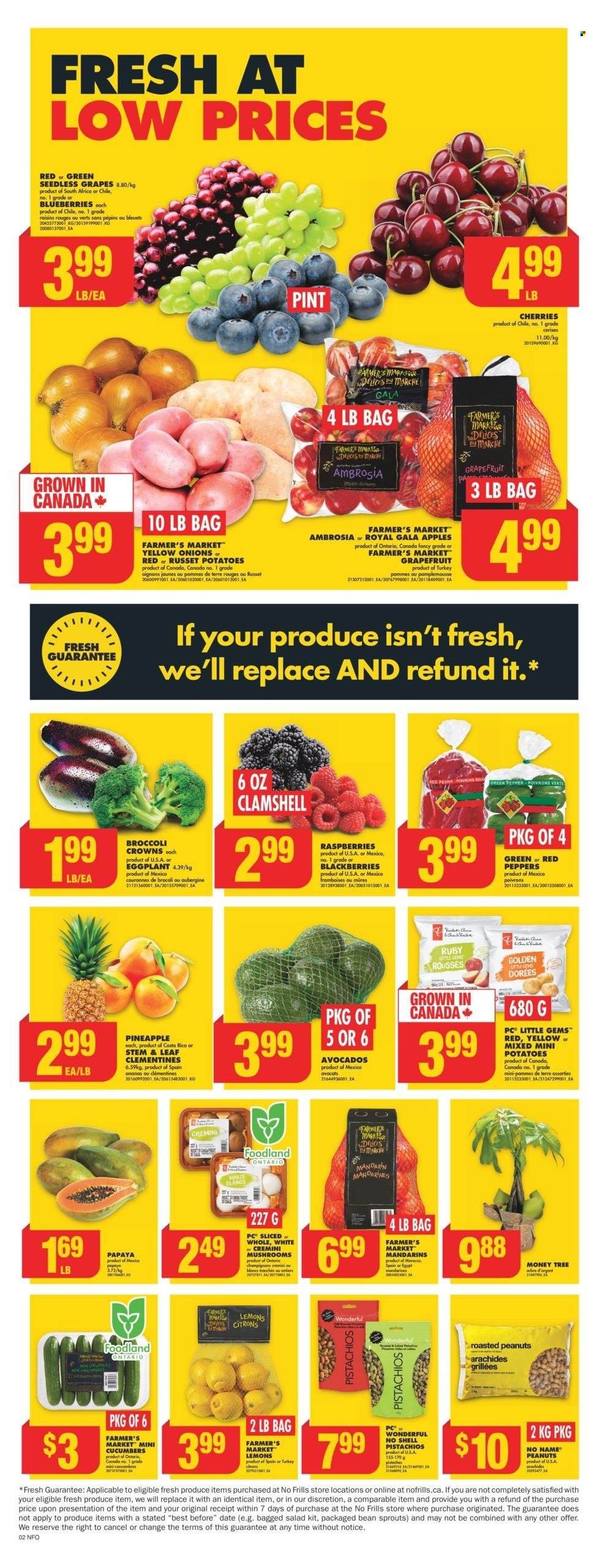 No Frills flyer - January 23, 2025 - January 29, 2025. Page 1