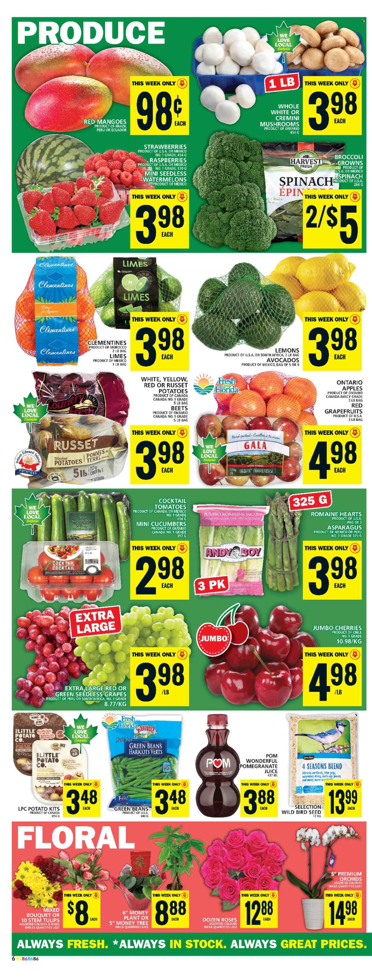 Food Basics flyer - January 23, 2025 - January 29, 2025. Page 1