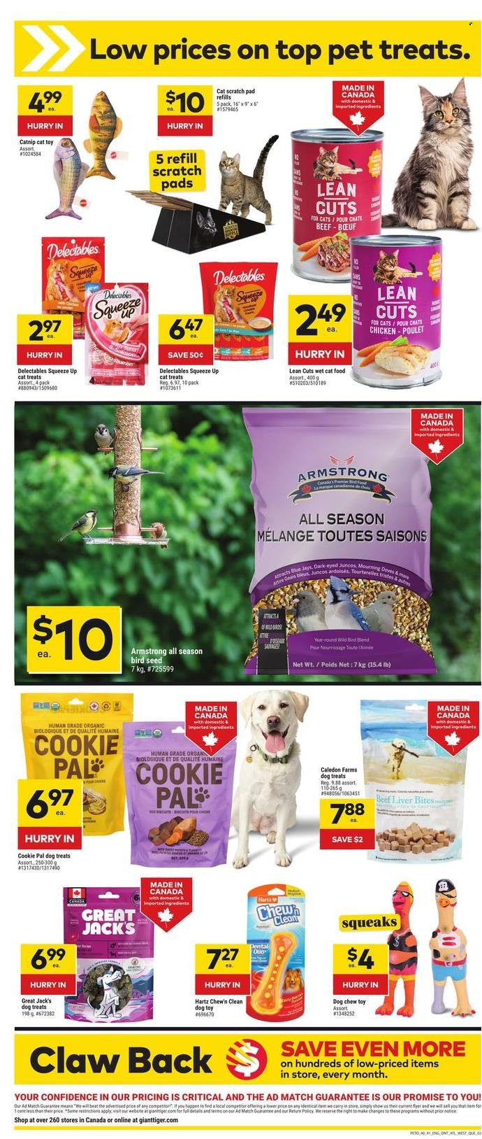 Giant Tiger flyer - May 07, 2025 - May 20, 2025. Page 1
