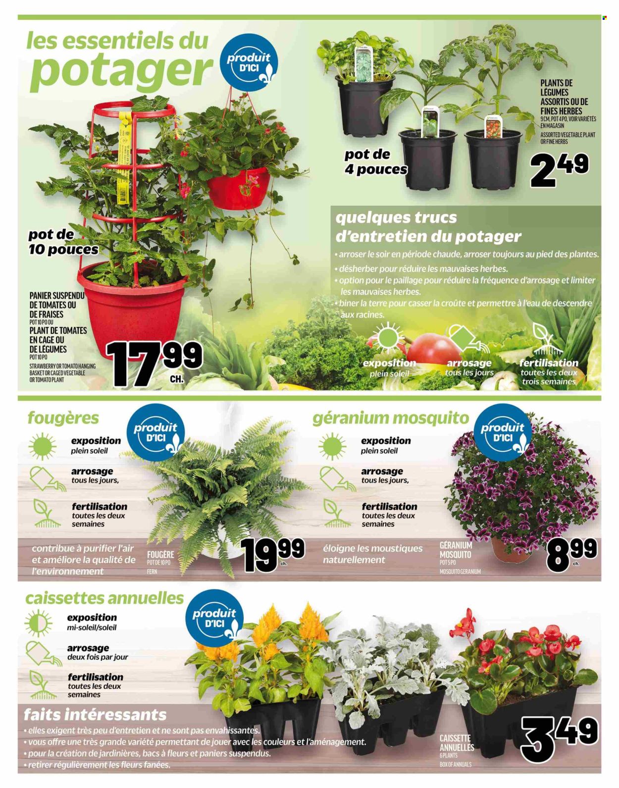 Metro flyer - May 15, 2025 - May 21, 2025. Page 1