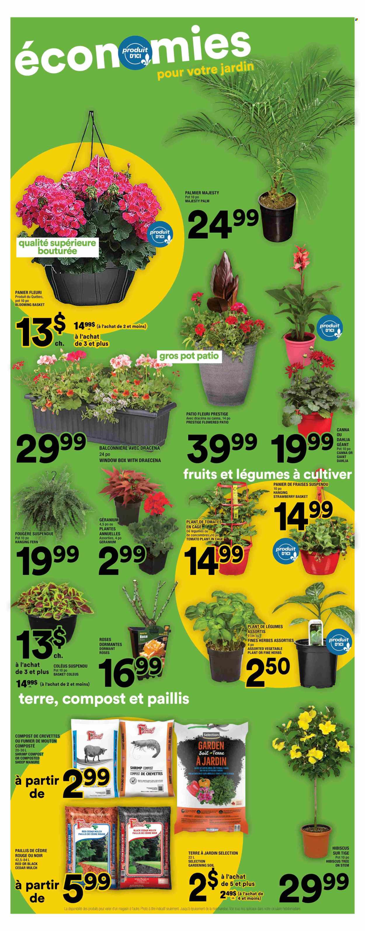 Super C flyer - May 15, 2025 - May 21, 2025. Page 1