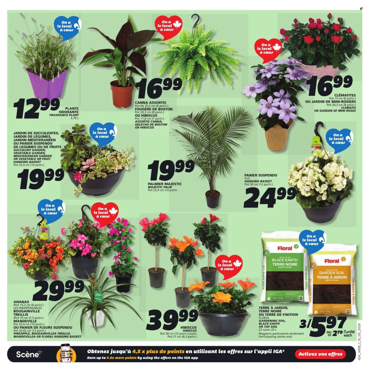 IGA flyer - May 15, 2025 - May 21, 2025. Page 1