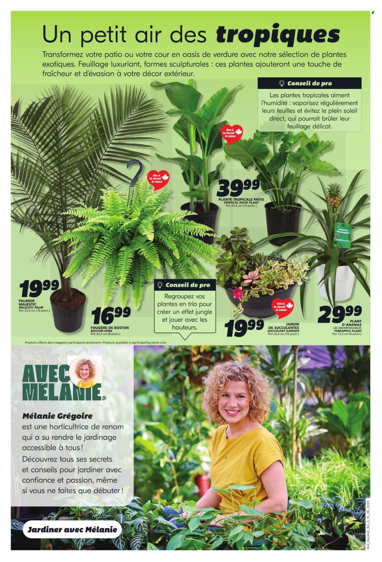 IGA flyer - May 15, 2025 - May 21, 2025. Page 1