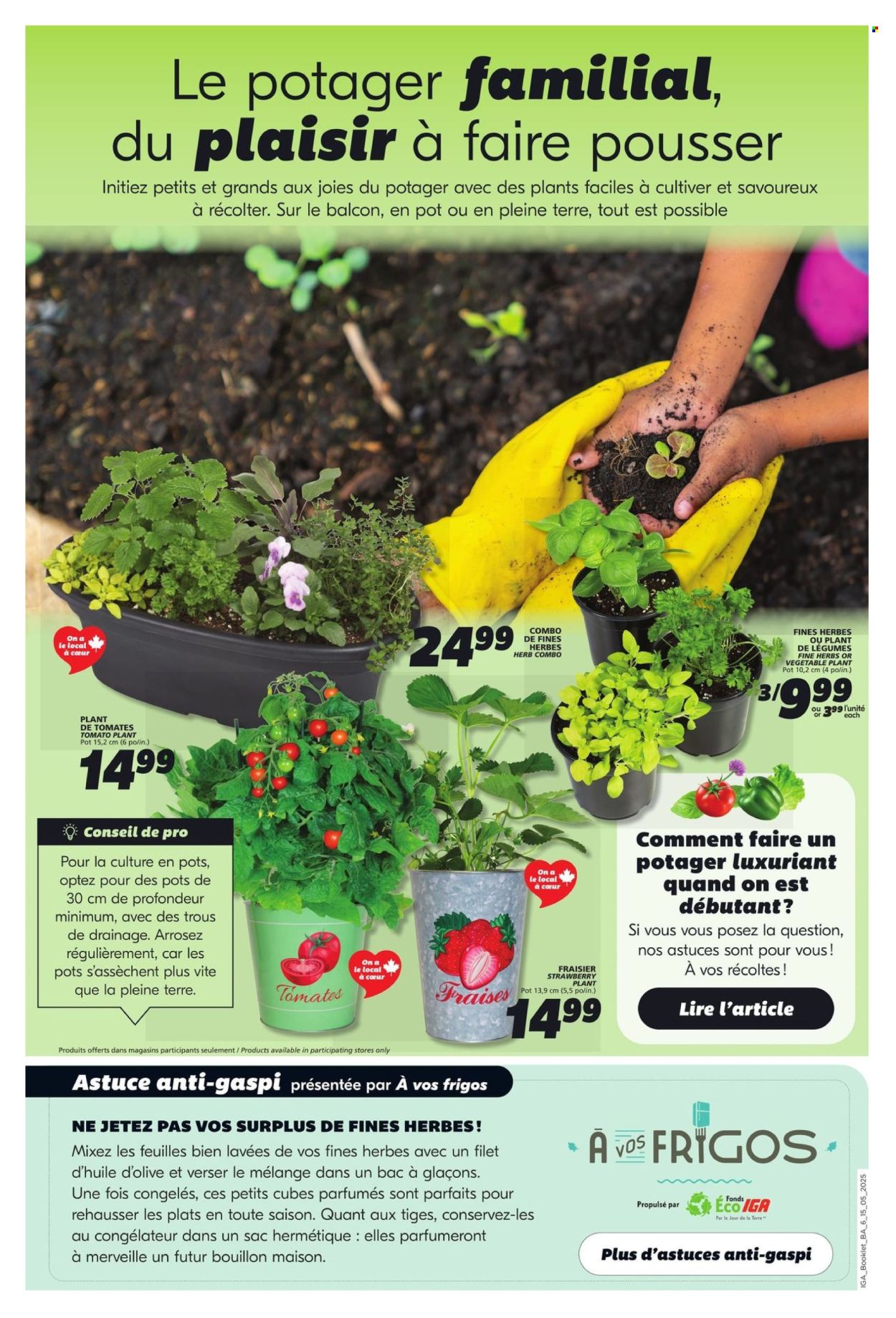 IGA flyer - May 15, 2025 - May 21, 2025. Page 1