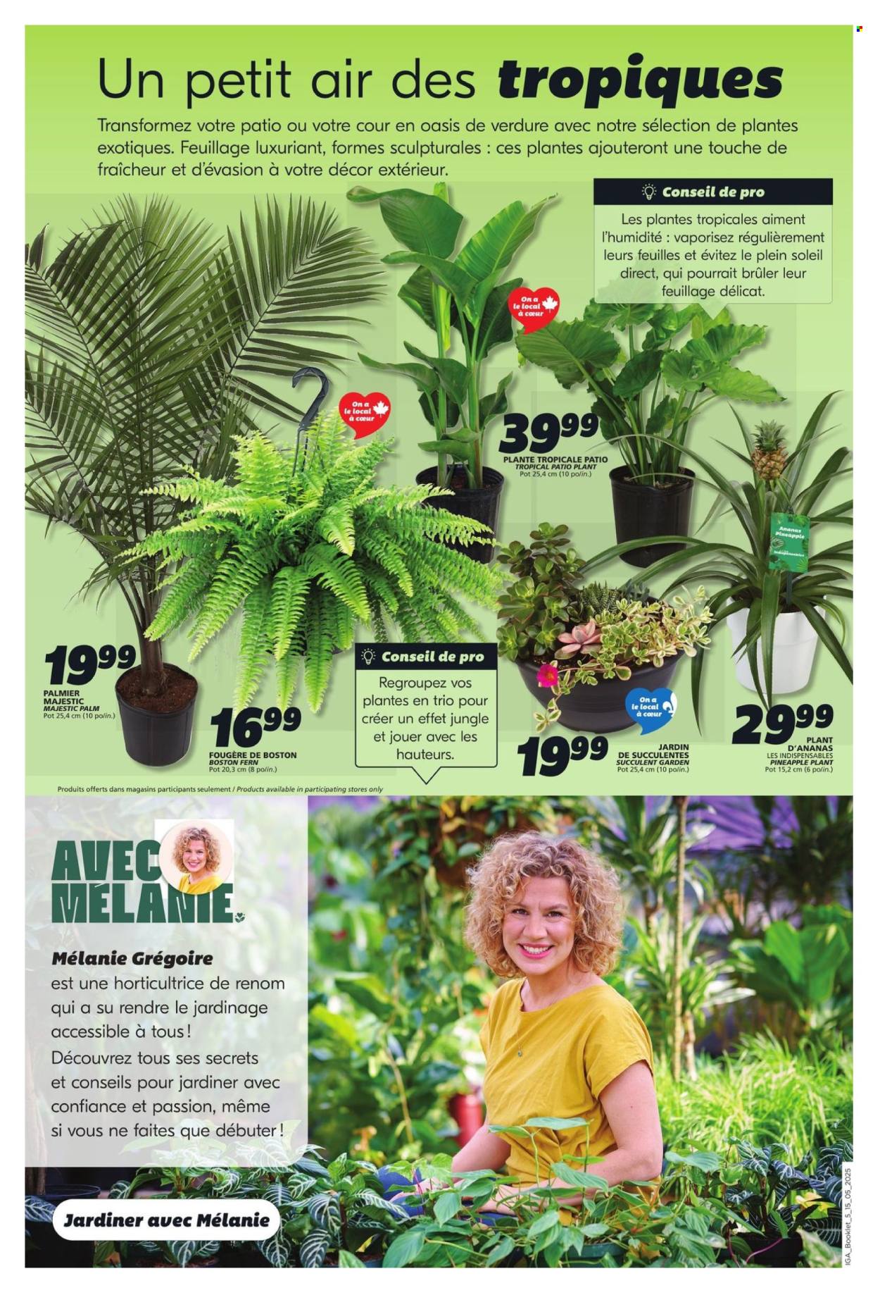 IGA flyer - May 15, 2025 - May 21, 2025. Page 1