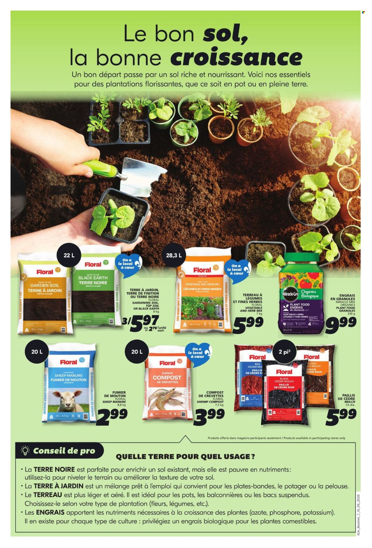 IGA flyer - May 15, 2025 - May 21, 2025. Page 1