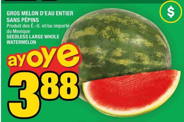 Gros melon d'eau entier sans pépins