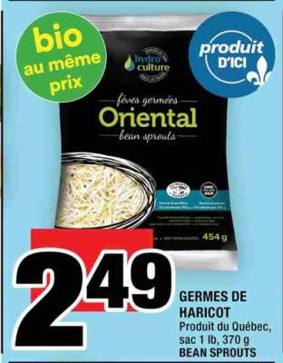 GERMES DE HARICOT