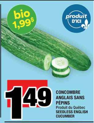 CONCOMBRE ANGLAIS SANS PÉPINS