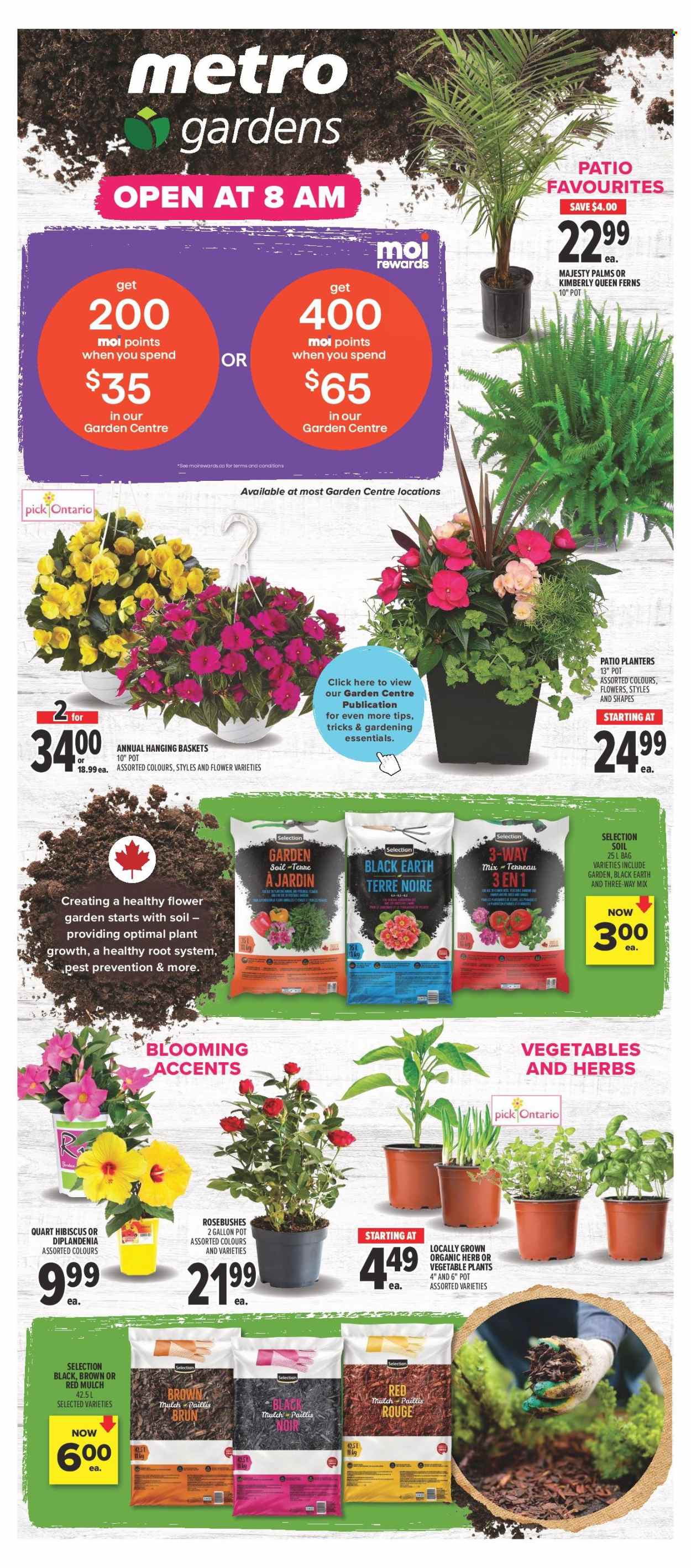 Metro flyer - May 15, 2025 - May 21, 2025. Page 1
