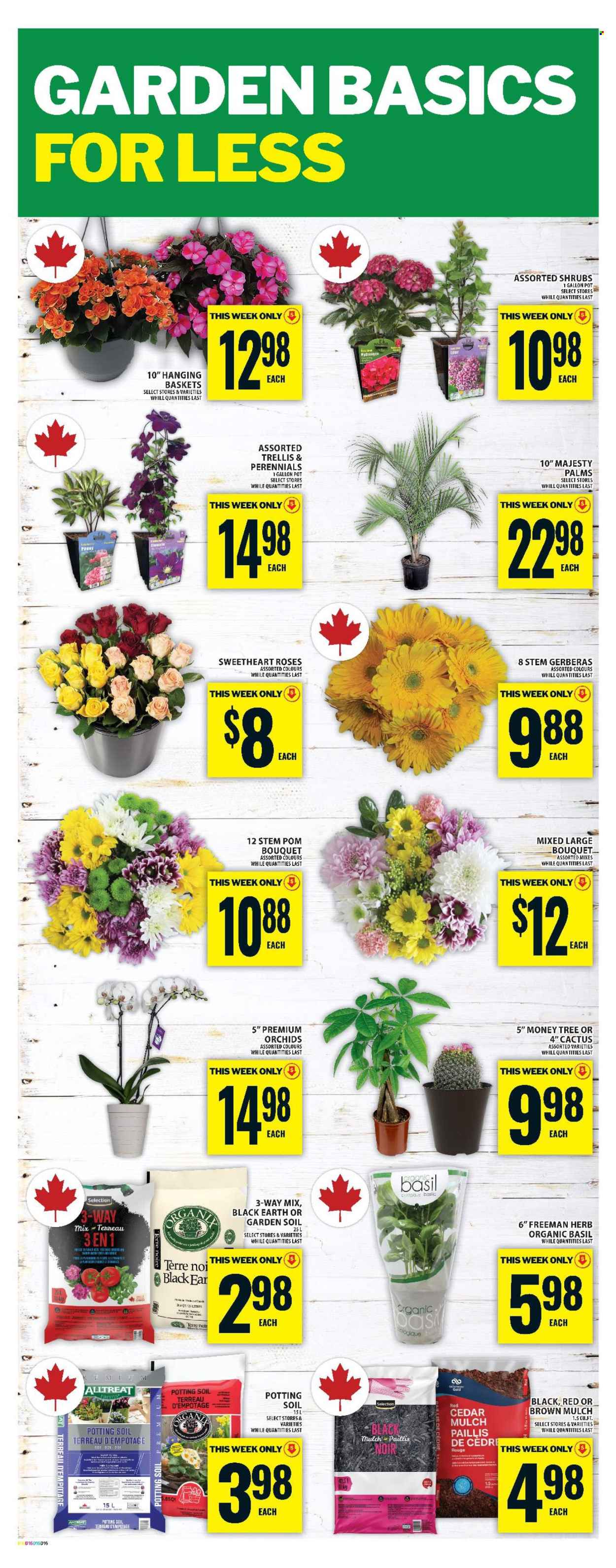 Food Basics flyer - May 15, 2025 - May 21, 2025. Page 1