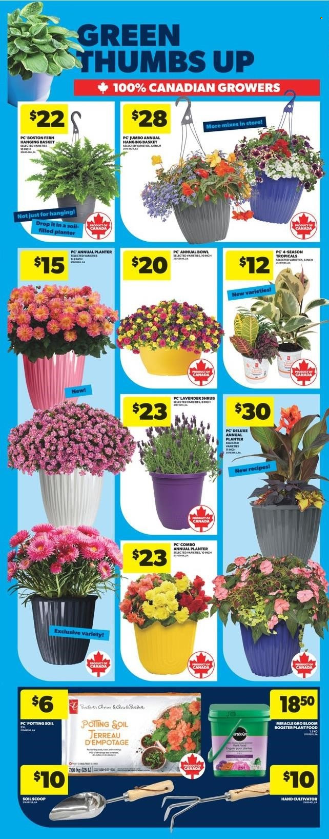 Real Canadian Superstore flyer - May 15, 2025 - May 21, 2025. Page 1