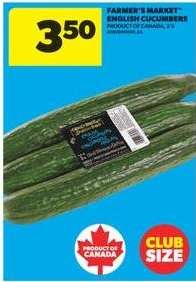 Farmer's Market English Cucumbers