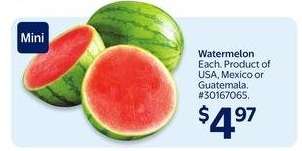 Mini Watermelon