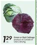 Green or Red Cabbage