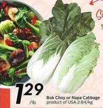 Bok Choy or Napa Cabbage