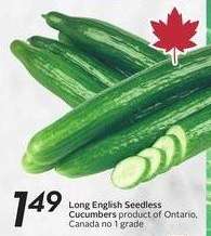 Long English Seedless Cucumbers