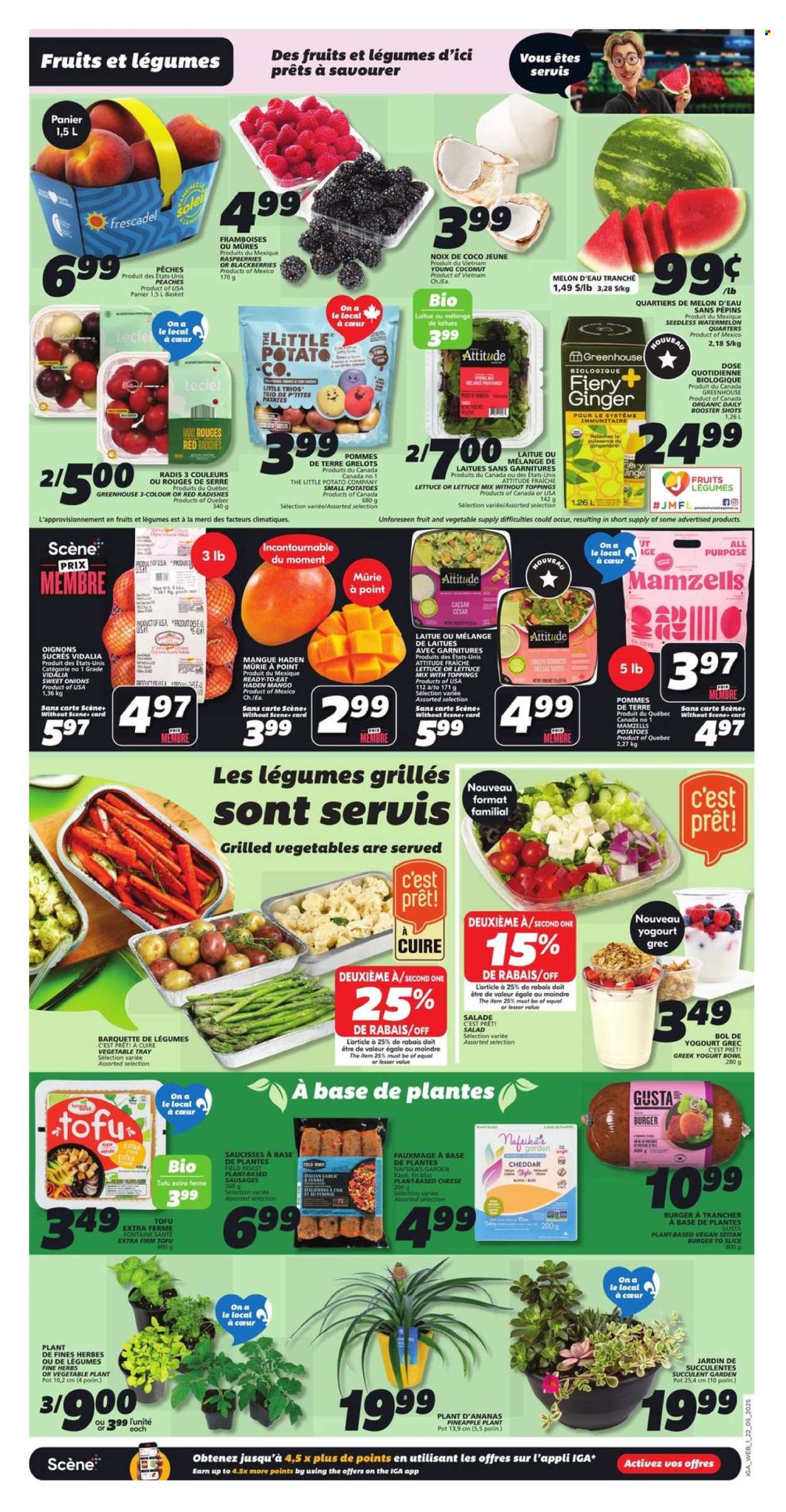 IGA flyer - May 22, 2025 - May 28, 2025. Page 1
