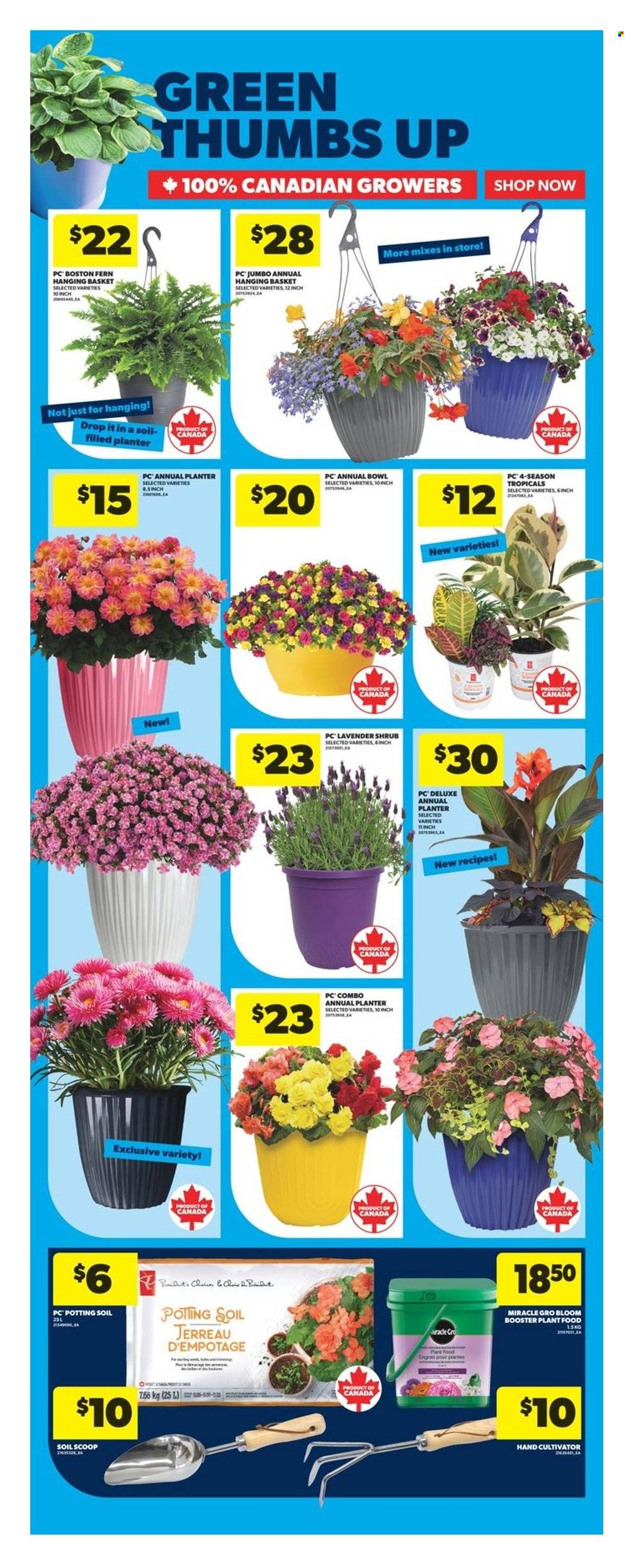 Real Canadian Superstore flyer - May 22, 2025 - May 28, 2025. Page 1