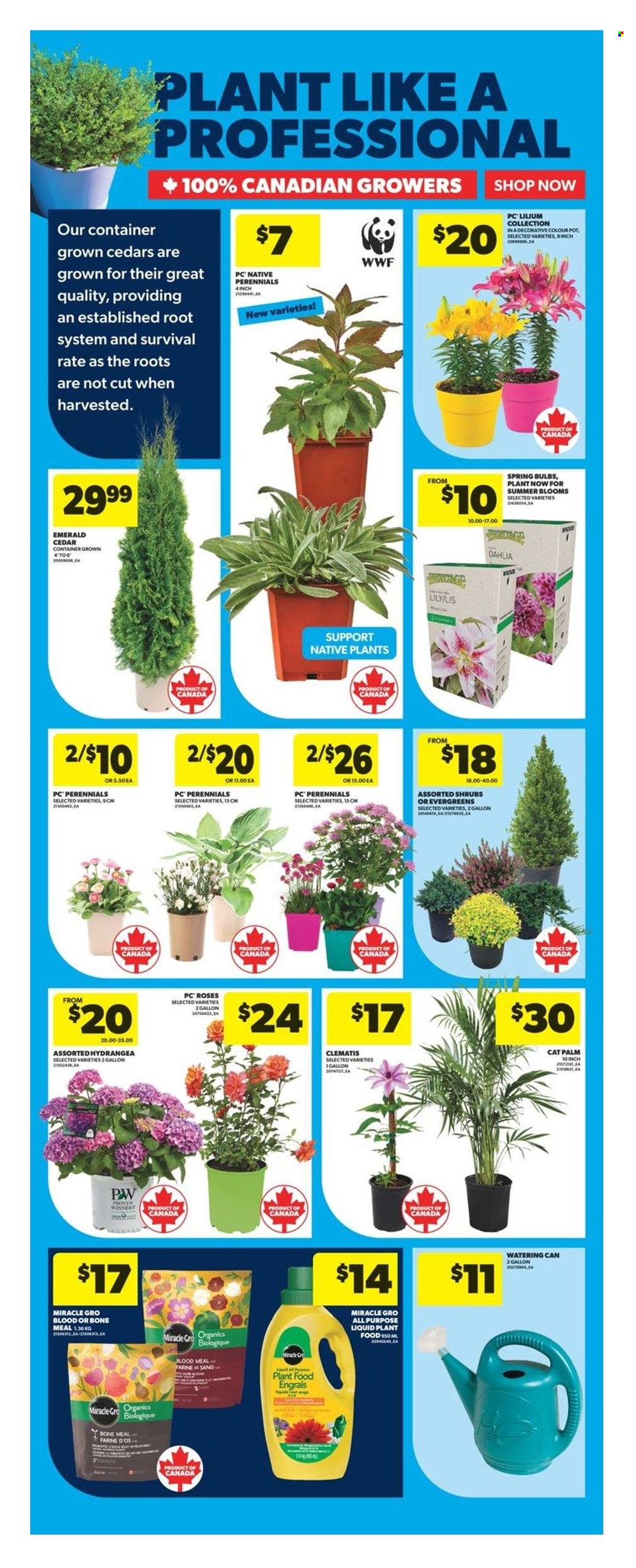 Real Canadian Superstore flyer - May 22, 2025 - May 28, 2025. Page 1