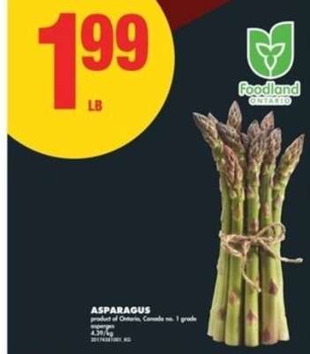 ASPARAGUS