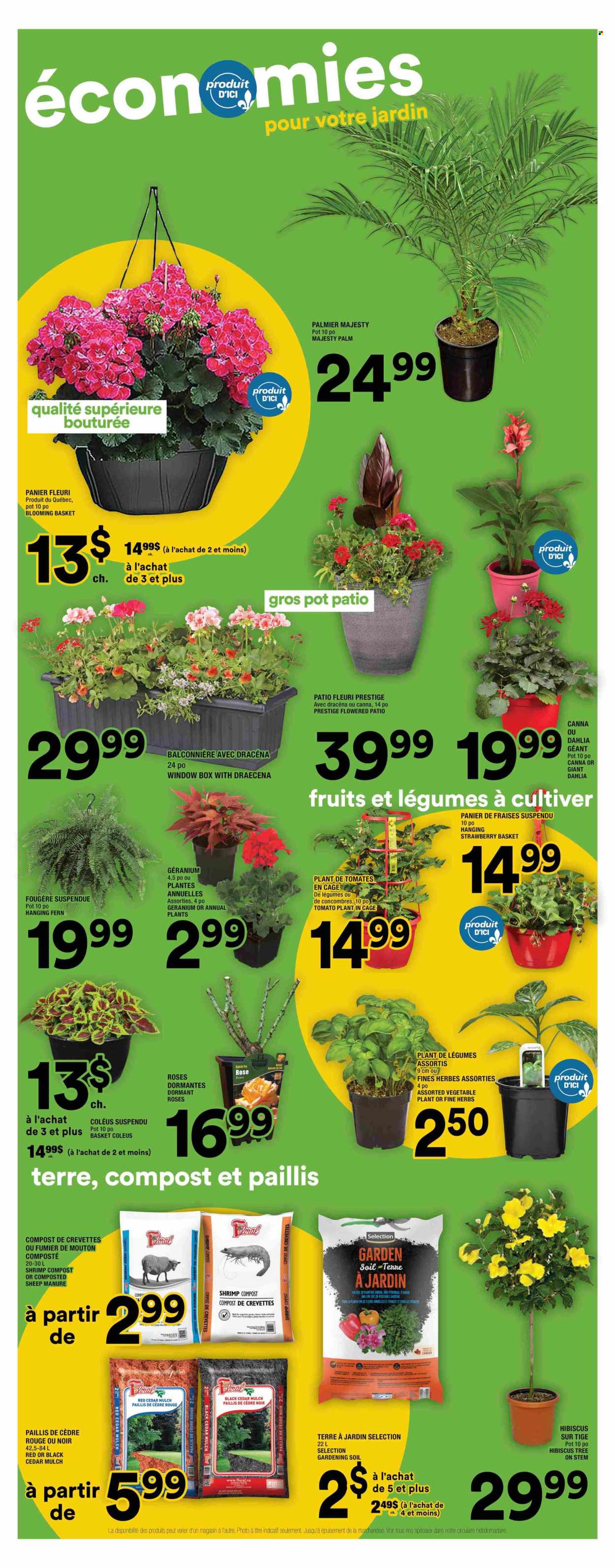 Super C flyer - May 22, 2025 - May 28, 2025. Page 1
