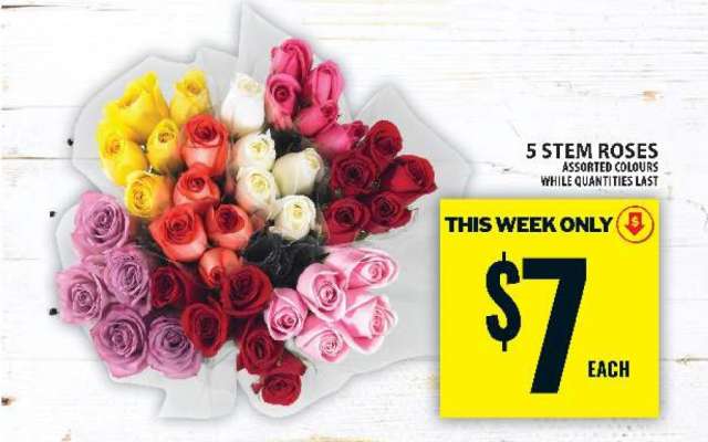 5 STEM ROSES